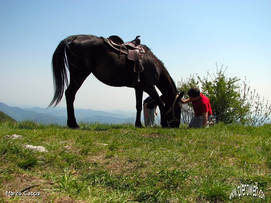 12_Cavallo e bambino.JPG